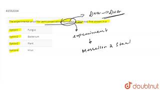 The experimental proof for semiconservative replication of DNA was first shown in a [upl. by Ynnatirb810]