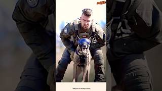 🔝💯❤️TRAINING DOG germanshepherd dog pets malinois pubg [upl. by Hareehat652]