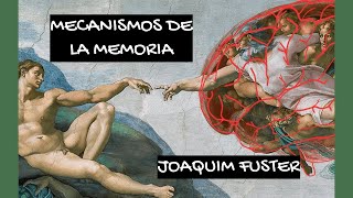 Los Mecanismos de la Memoria [upl. by Aicel824]