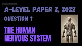 Paper 2 2022  Q7 Divisions of the Nervous System [upl. by Suckram]