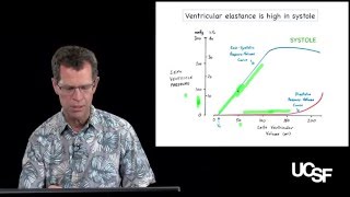 David Morgan PhD The Cardiac Cycle Part 3 Elastance [upl. by Stronski]