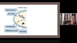 Alvo dos Antimicrobianos [upl. by Dicks]