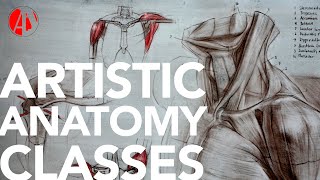 Florence Classical Arts Academy  Atristic Anatomy classes [upl. by Shelia21]