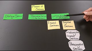 The 4 Anatomical Planes of Sections [upl. by Aihsel]