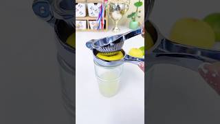 Lemon Squeezer  Easy Citrus Juicer smartutensiles kitchenhacks [upl. by Aynatahs414]