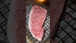 Wagyu Steak Chariapin【Winter Camping】shorts [upl. by Anaujit]