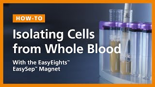 How to Isolate Cells Directly from Whole Blood  EasySep™ Direct Protocol EasyEights Magnet [upl. by Oirtemed228]