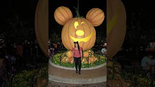 Halloween 🎃 Disney photopass [upl. by Atikan]