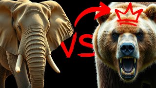 Elephant vs Kodiak Bear Who Would Win [upl. by Nagaet]