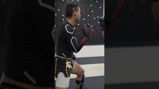 Muay Thai vs Taekwondo Blackbelt 3rd Degree [upl. by Ardnuas]