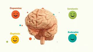 Los Químicos de Felicidad dopamina serotonina ocitocina y endorphina [upl. by Arhat]