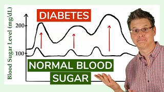 Regulation of Blood Sugar [upl. by Karilla]