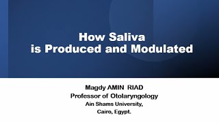 How Saliva is Produced and Modulated [upl. by Margery]