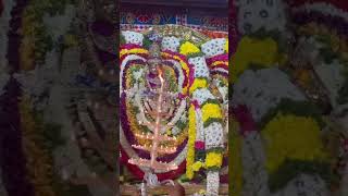 ஓம் நமசிவாய l Sivan Video sivan shiv Tiruvannamalai annamalaiyar girivalam arunachalam lord [upl. by Elleda]