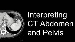 Interpreting CT Abdomen and Pelvis Course Introduction [upl. by Aicnelev]