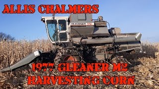 Allis Chalmers Show Classic 1977 Gleaner M2 Combine Harvesting Corn [upl. by Nnaik]