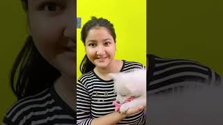 First day of this cute puppy at our home ❤️ viralvideo puppyvideos cutealert puppypic cutepup [upl. by Ev]