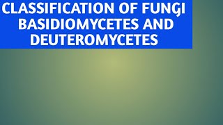 Basidiomycetes and deuteromycetes of class 11 [upl. by Harmony]