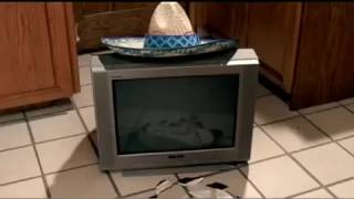 Adelphia Cable  Taco Commercial 2006 starring Paul Walker voice cast [upl. by Ytoc]