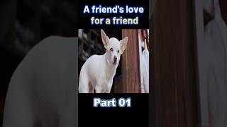 Friends love for a friend shorts short [upl. by Becky747]