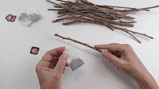 RAMAS y SAQUITOS de Té para hacer 3 Fáciles ideas  Arte en casa  Manualidades y recilaje  DIY [upl. by Close760]