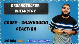 Corey Chaykovsky Reaction  Reactions with Mechanism  Organosulfur Chemistry 08  Bs BSc MSc Final [upl. by Eirised]