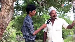 Vannerikulam  Poonagari Kilinochchi  Vanakkam Thainaadu Part02  22012018  IBC Tamil TV [upl. by Florine]