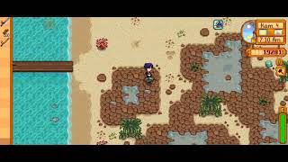 cara menangkap ikan Crimson di Stardew Valley [upl. by Eimat]