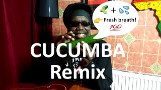 Cucumba Remix feat Macka B by KimboBeatz  Jamaican Cucumber Song [upl. by Deeraf]