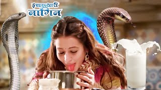 घर का सारा दूध चट कर गई नागिन  EP10 Icchapyaari Naagin  Nagin New Series 2024 supernaturalfacts [upl. by Durrace]