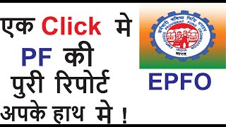 How to update employee details into EPFO Portal  How to download employee reports from EPFO portal [upl. by Burkley924]