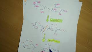 ✅ Biochimie Les Glucides Partie 6 La Permethylation  Loxydation par HIO4 [upl. by Ydarb]