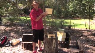 Part 3 Splitting an Australian Native Beehive [upl. by Nellda167]