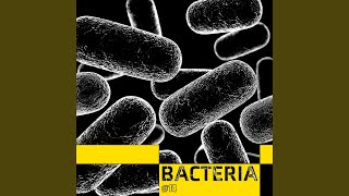 Bacteria [upl. by Smail]