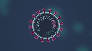 How do DNA Vaccines work [upl. by Hcab]