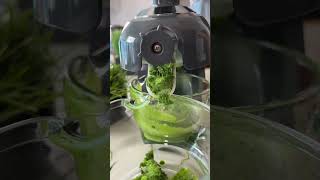 Wheatgrass juice benefits and how it helps for weight loss [upl. by Nawaj997]