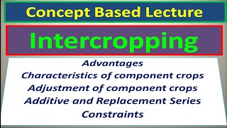 Intercropping Advantages Characteristics amp Adjustment of Component Crops and Constraints [upl. by Atinej385]