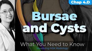 Chapter 4 D⎜Burse and cysts or cystlike lesions ⎜Knee MRI⎜Visualizing MSK Radiology⎜timeline [upl. by Karlin]