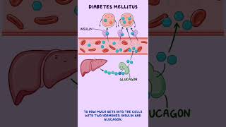 Understanding Diabetes Mellitus Symptoms and Management [upl. by Nosyd618]