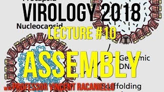 Virology Lectures 2018 10 Assembly [upl. by Ymeraj]