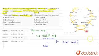 Match ListI Compound oxidized during Kreb\s cycle with ListII Compound formed on oxidation [upl. by Ert90]