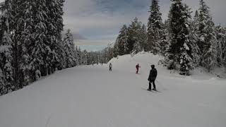 Ski Seefeld in Tirol Rosshutte revisited 4K [upl. by Haerr]