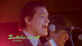 LOS CRISOLES – LOS TEKILAS – GRUPO REY Enganchado EN VIVO [upl. by Oric]