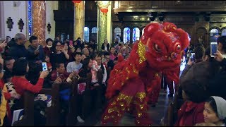 Lunar New Year Roars Through St Agathas [upl. by Ellett262]