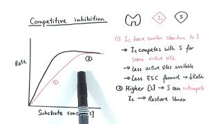 AS Biology  Enzyme inhibition OCR A Chapter 43 [upl. by Talich]