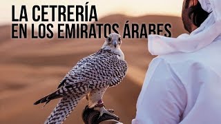 LA CETRERÍA EN LOS EMIRATOS ÁRABES  Adrián González [upl. by Ariet149]