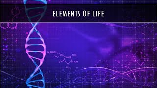 AP Biology  Topic 12  Elements of Life [upl. by Sabu]