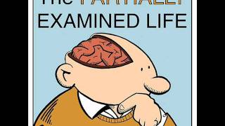 Partially Examined Life podcast  Gilligan on Feminist Theory amp Moral Psychology [upl. by Ahsiuq]