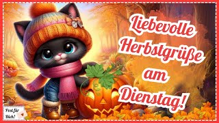 Herbstliche Grüße die deinen Montag versüßen 🐈️🍂 Post für dich und z Teilen f WhatsApp amp Co 📬 [upl. by Bernardo]