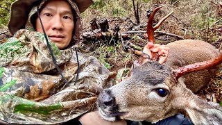 Washington Blacktail Deer Hunt 2022  Final Hour Lucky Halloween Buck [upl. by Duj]